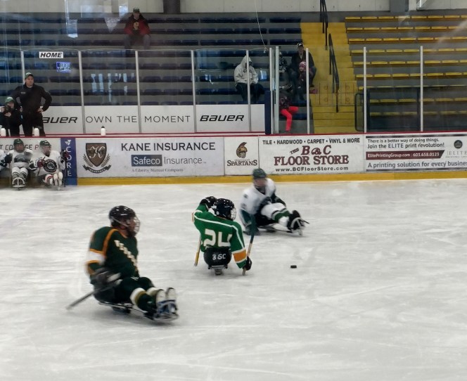 NESHL Sled Hockey Tournament