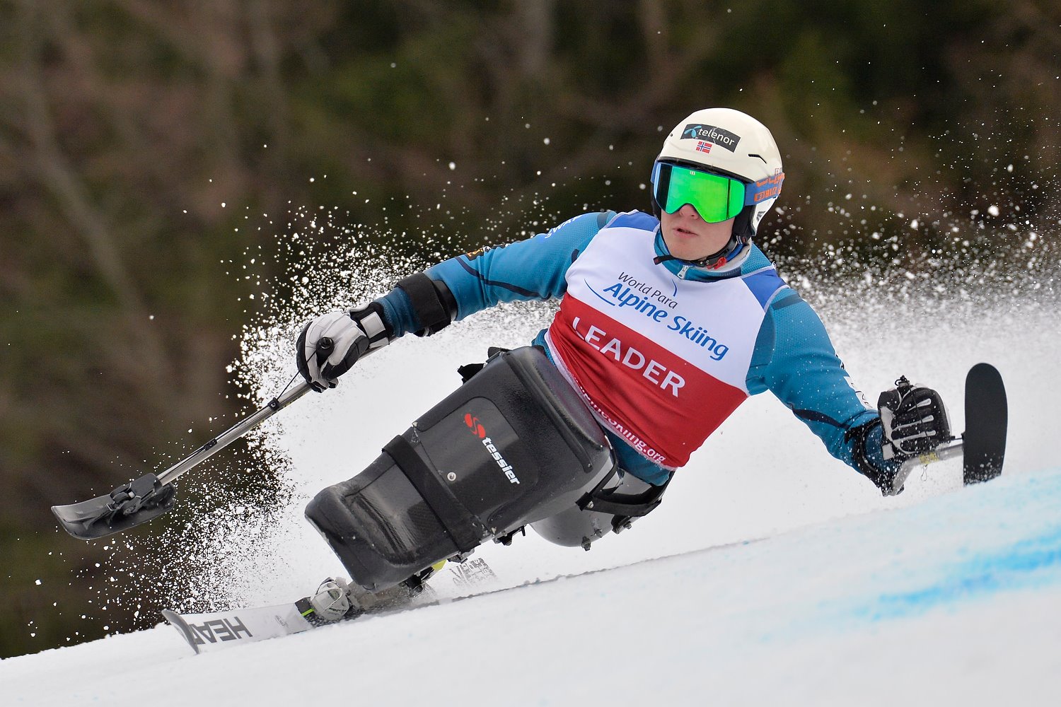 Early 2018 Adaptive Sports Preview